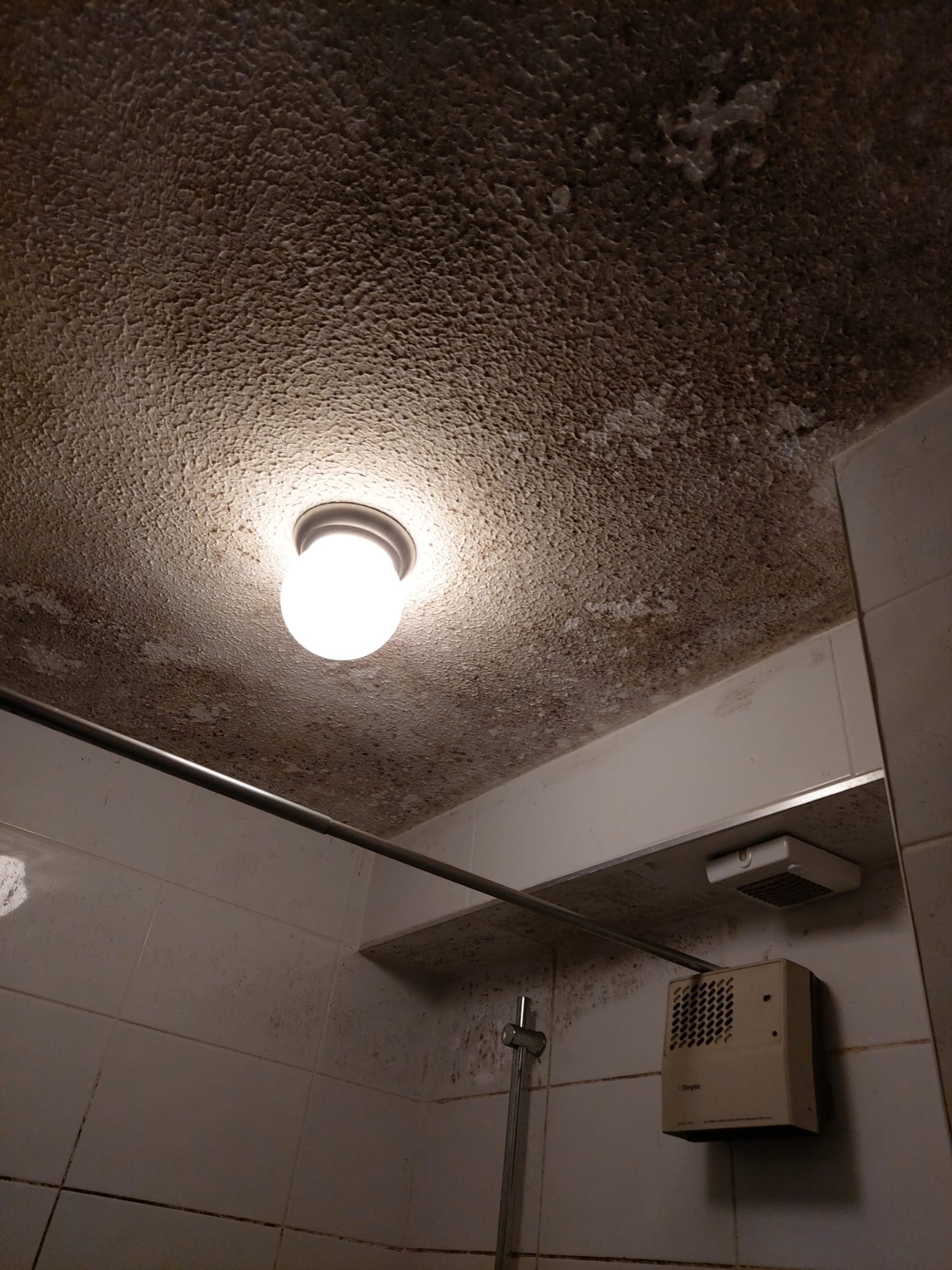 Ceiling Washing Bathroom